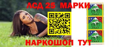 СК Волгодонск