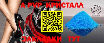 СК Волгодонск
