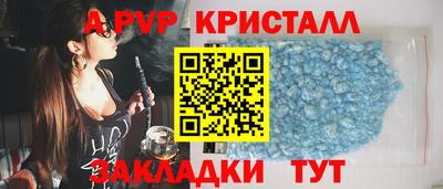 СК Волгодонск
