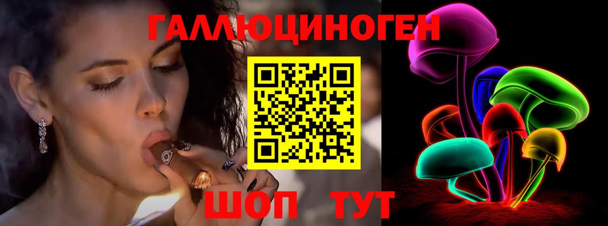 Бугульма  Псилоцибиновые грибы Cubensis  Вход с VPN 